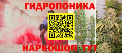 кокс Кулебаки