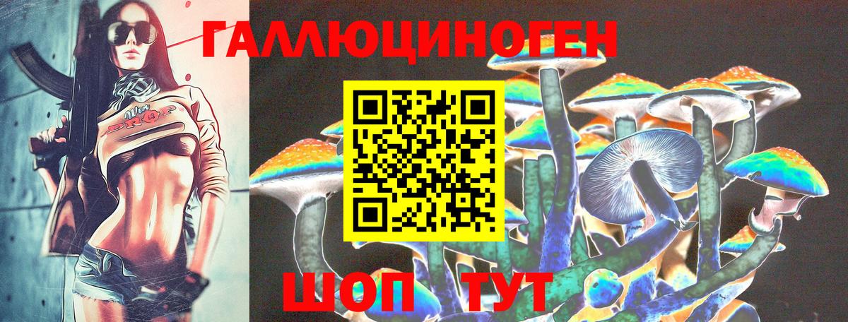 Губкинский  Псилоцибиновые грибы MAGIC MUSHROOMS  Вход с VPN  Галлюциногенные грибы Psilocybe 